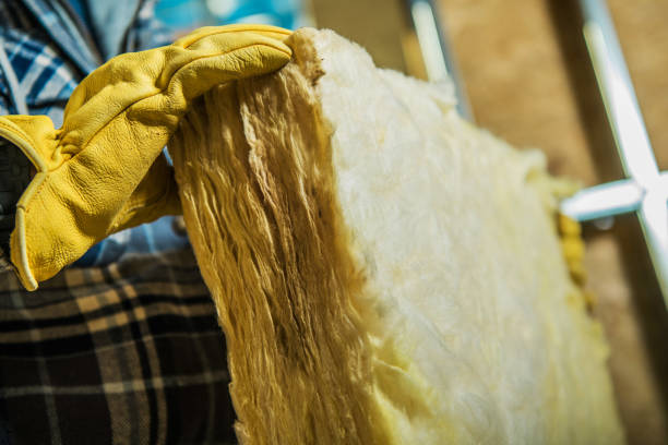 Best Insulation Replacement Services  in Von Ormy, TX